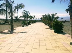 ARINAGA BEACH: first line on the sea on  short rent