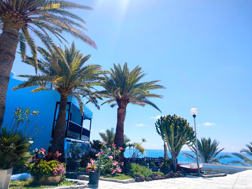 DREAM IN FRONT OF THE BEACH -Gran Canaria